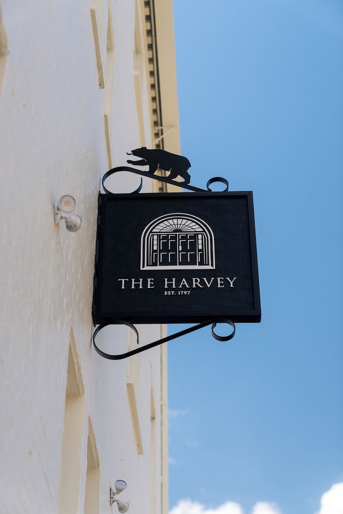 The Harvey - photo 136