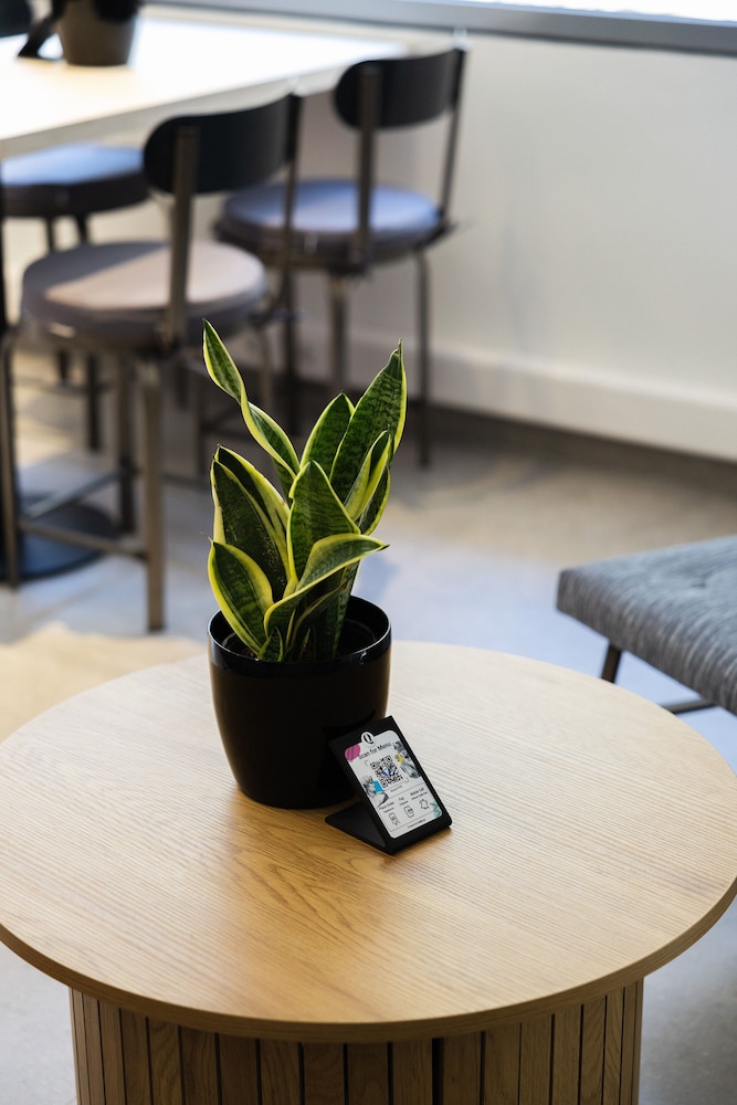 The Q Hotel in Athens, Greece