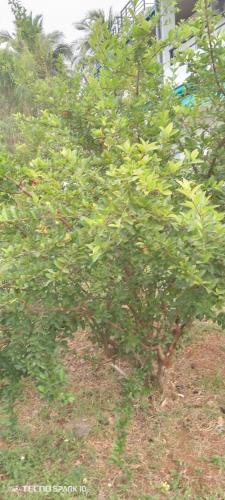 Heritage City Hotel Anuradhapura — Anuradhapura — photo 5