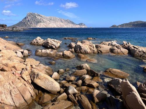 Le Giuggiole di Punta Molara in San Teodoro, Italy