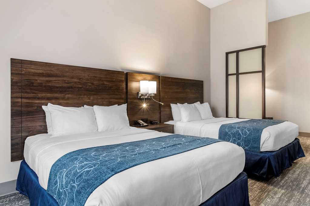 Comfort Suites McDonough Atlanta South - photo 11