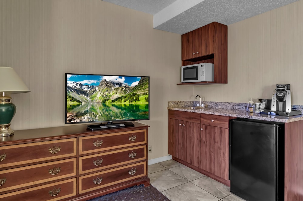 Buffalo Airport Hotel - photo 43