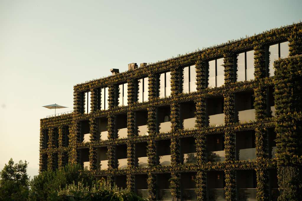 Tsinandali Estate A Radisson Collection Hotel — Tsinandali — photo 4