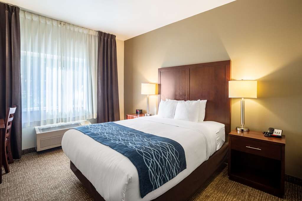 Comfort Inn Lacey Olympia - photo 17