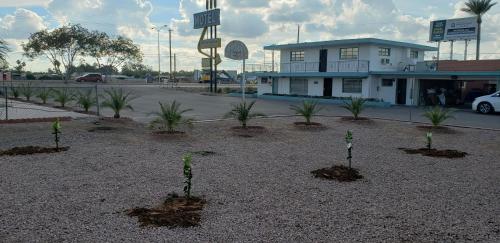 Westernaire Motel - photo 10