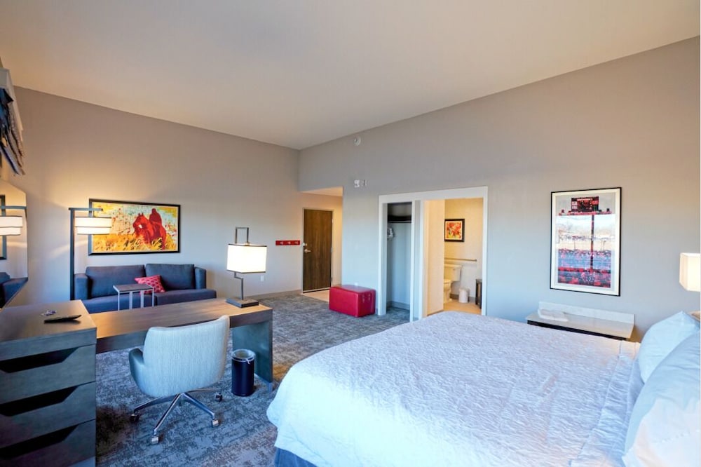 Hampton Inn & Suites Lubbock University - photo 8