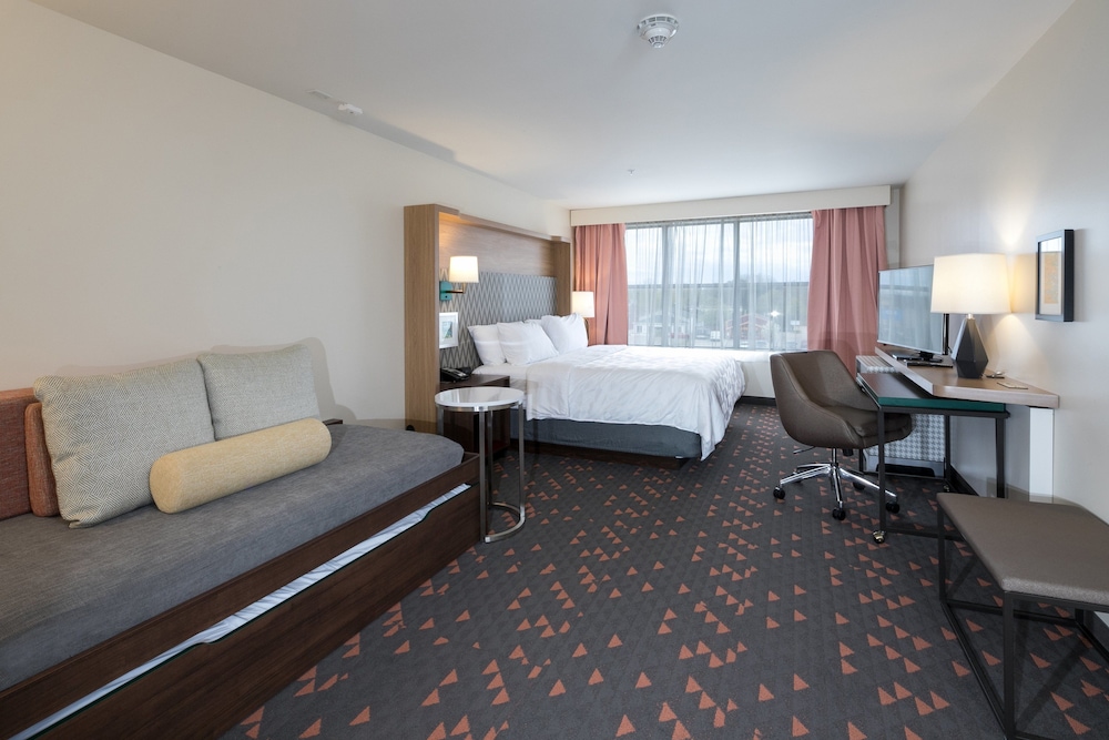 Holiday Inn Kalamazoo West - photo 10