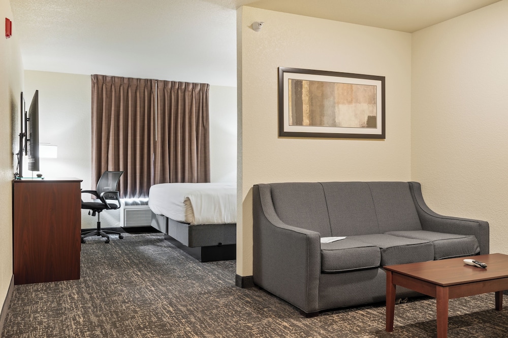 Cobblestone Hotel & Suites Alpine - photo 25