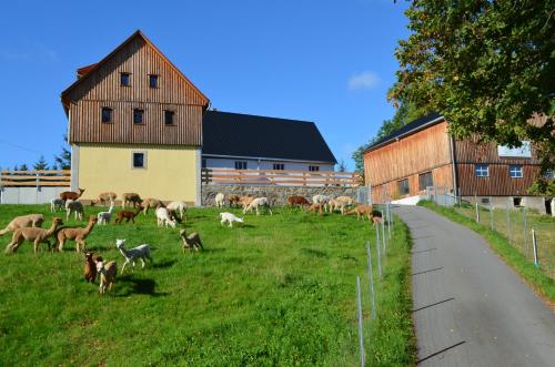 Ferienhaus Alpaka Glück — hotel in Frauenstein