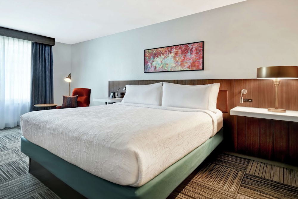 Hilton Garden Inn Houston Galleria Area - photo 10