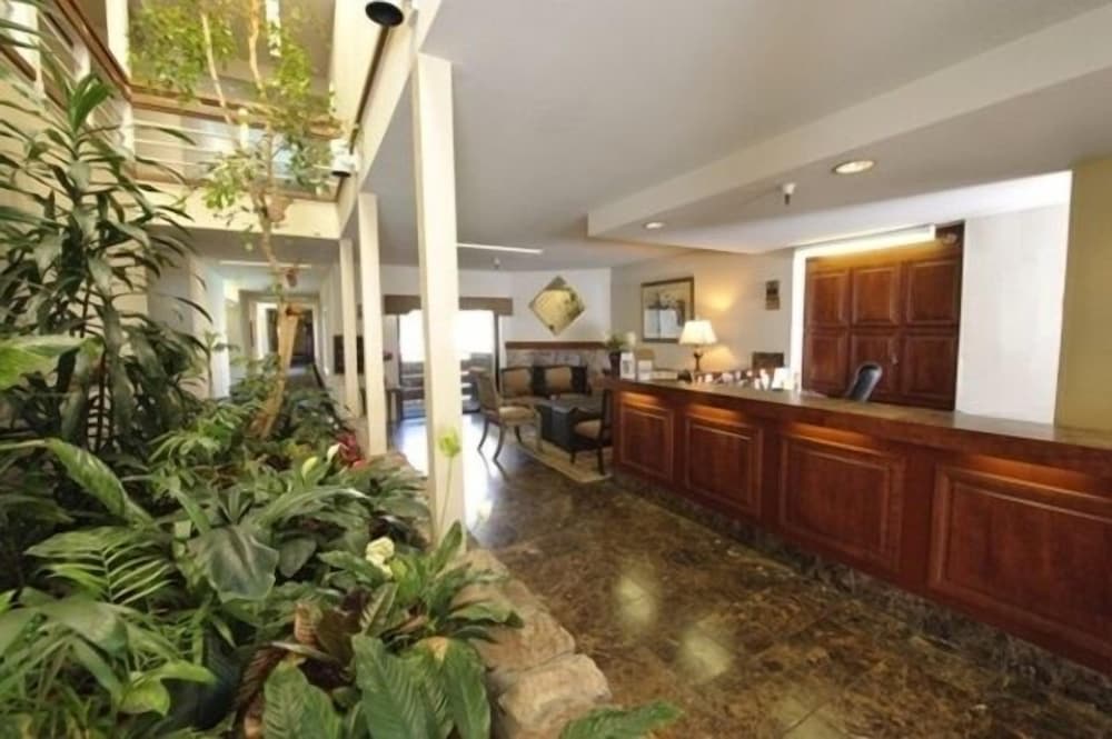 Monarch Resort - photo 3