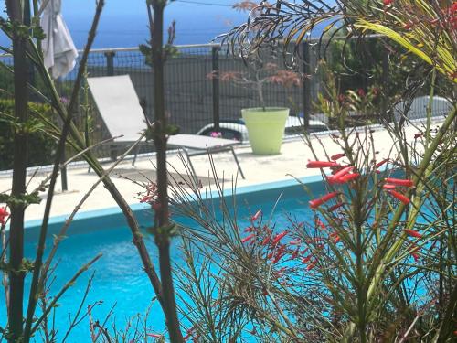 La Case Curcuma in Saint-Joseph, Réunion