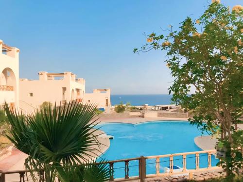 Dahab Dolphin in Dahab, Egypt