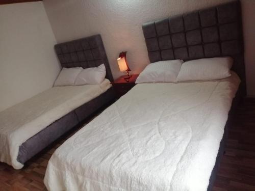 Claudiae - carbon neutral hotel in Bogota