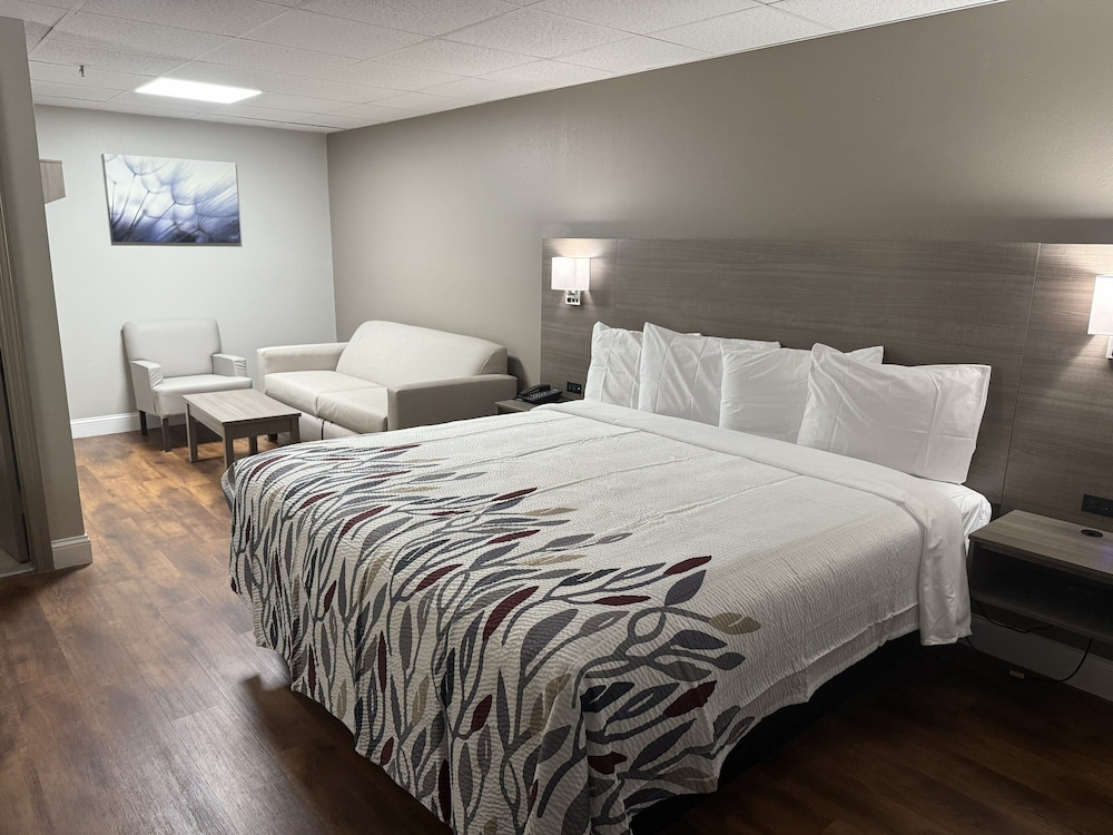 Red Roof Inn & Suites Swansea - photo 4