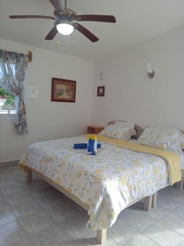 Estudio Coatí Azul en la Isla de Cozumel en el Caribe — 4-Star Luxury Hotel in Cozumel, Mexico