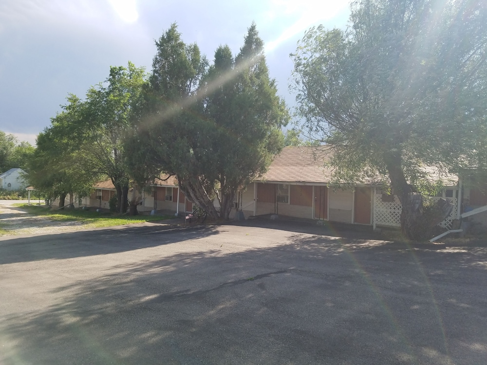 Moorcourt Motel - photo 16