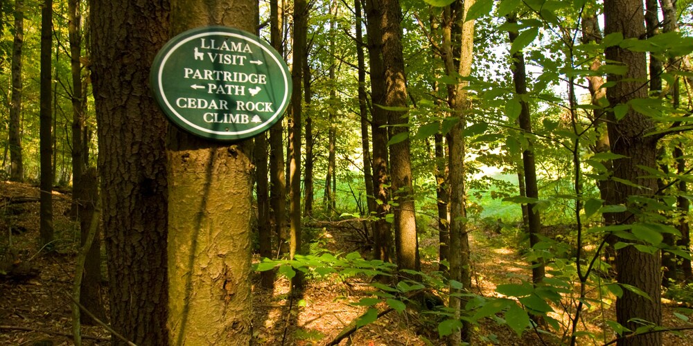 Arlington's West Mountain Inn - photo 45