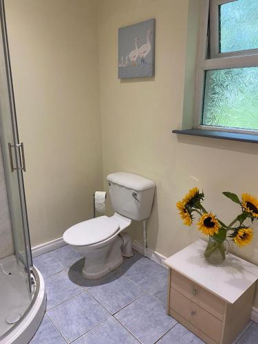 Glendona House — Crumlin — photo 4