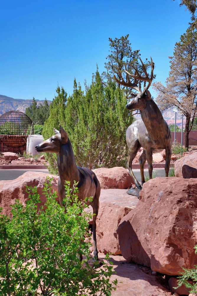 Residence Inn by Marriott Sedona - photo 51