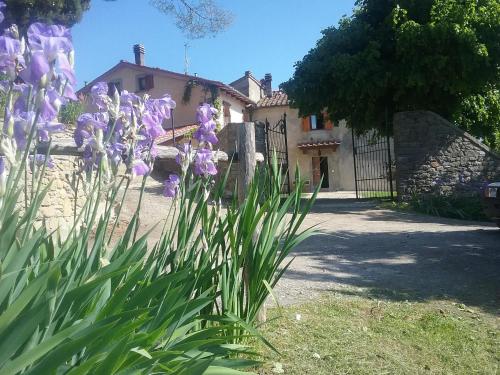 Casa Vacanze Podere Ugolini — 4-Star Luxury Hotel in Ronta, Italy