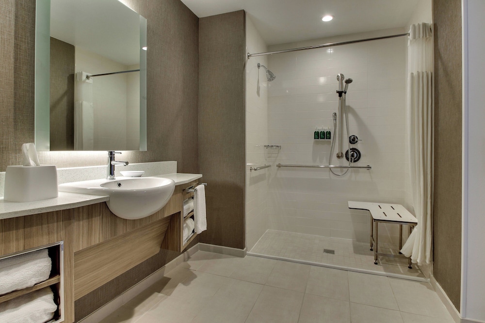 SpringHill Suites by Marriott Montgomery Downtown - photo 17