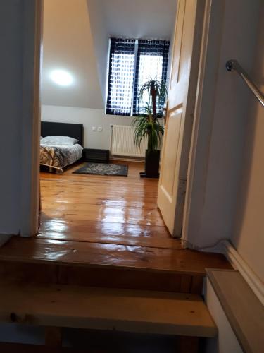 Karin House