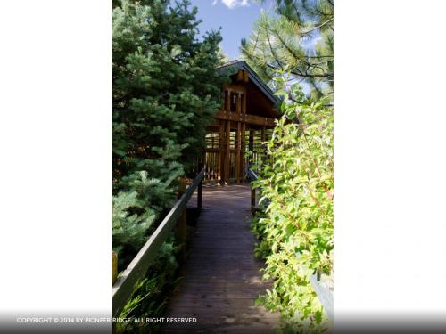 The Pines - photo 15