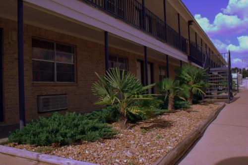 Somerville Inn & Suites - photo 4
