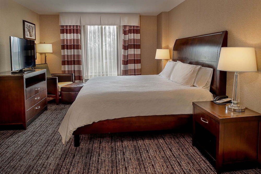 Hilton Garden Inn St. Louis Airport - photo 19