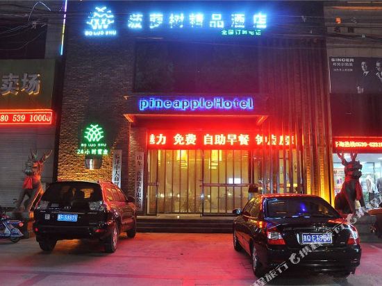 Pineapple Hotel — hotel in Xiazhuang