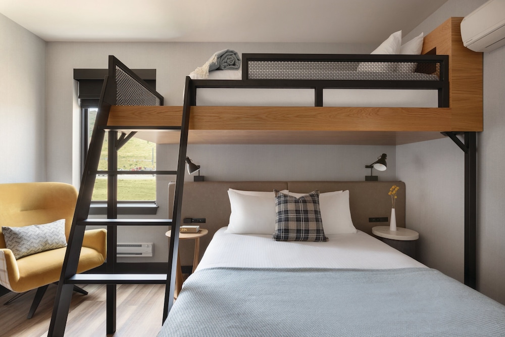 The Eddy Taproom & Hotel - photo 16