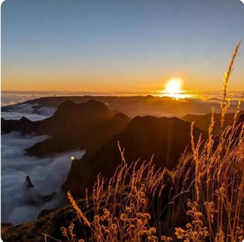 Refúgio do Vale - carbon neutral hotel in Ribeira Brava