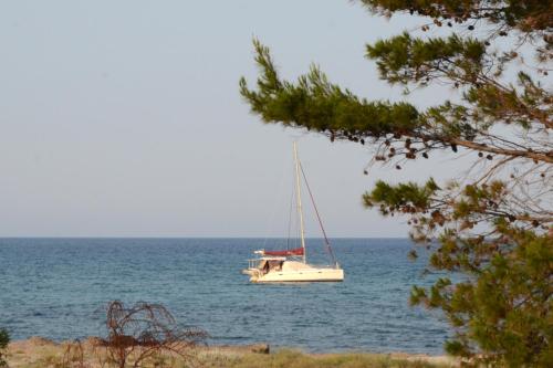 Appartamenti Fronte mare — hotel in Siniscola