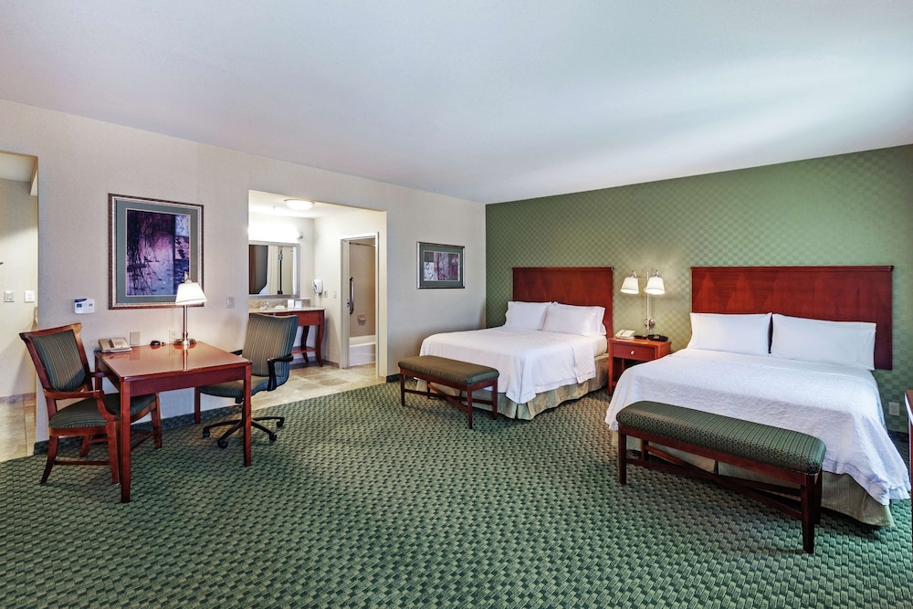 Hampton Inn & Suites El Paso West - photo 28