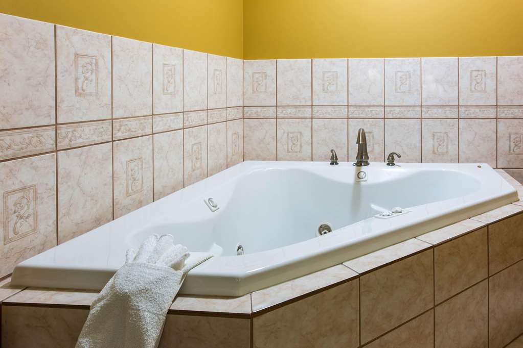 Comfort Inn Columbia West - photo 27