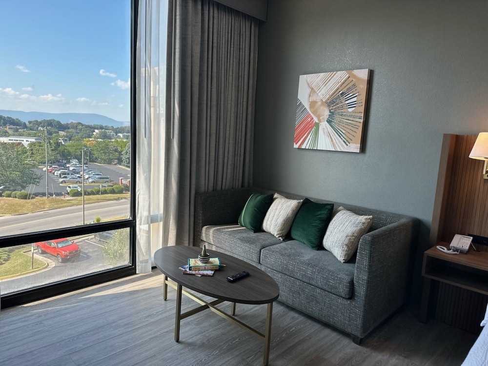 Holiday Inn Roanoke Tanglewood Rt 419&i581 by IHG - photo 5