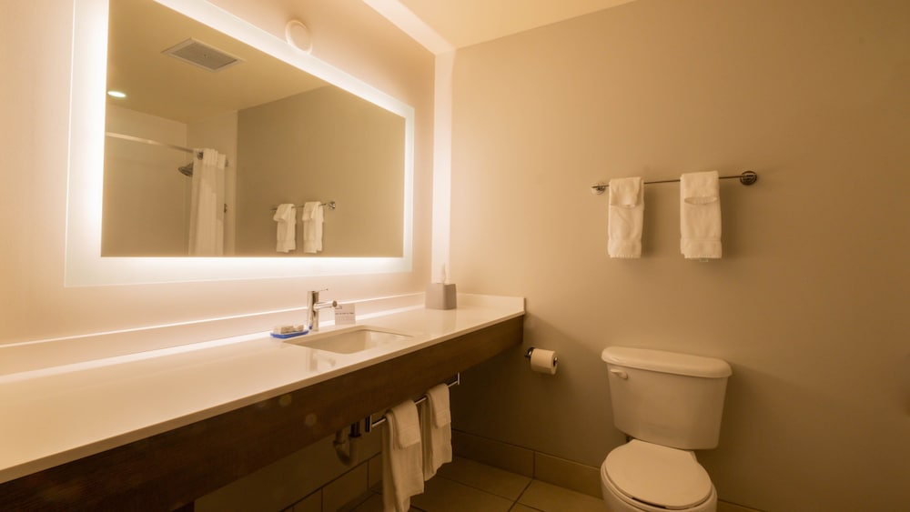 Holiday Inn Express Hotel and Suites Mankato East by IHG - photo 55