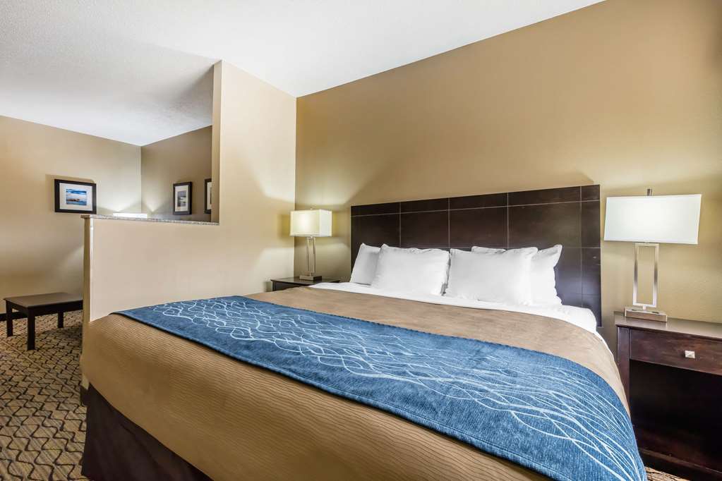 Comfort Inn & Suites Crystal Inn Sportsplex - photo 12