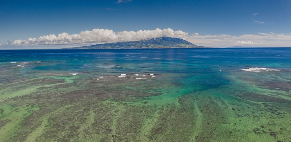 Wavecrest by Molokai Vacation Properties - photo 25
