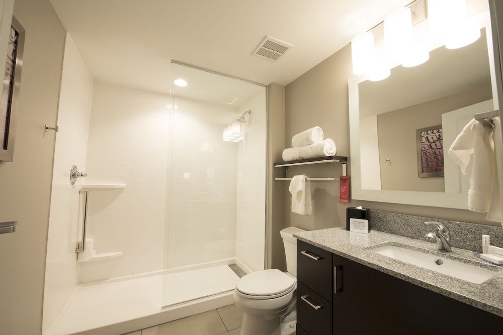 TownePlace Suites by Marriott Chicago Schaumburg - photo 23