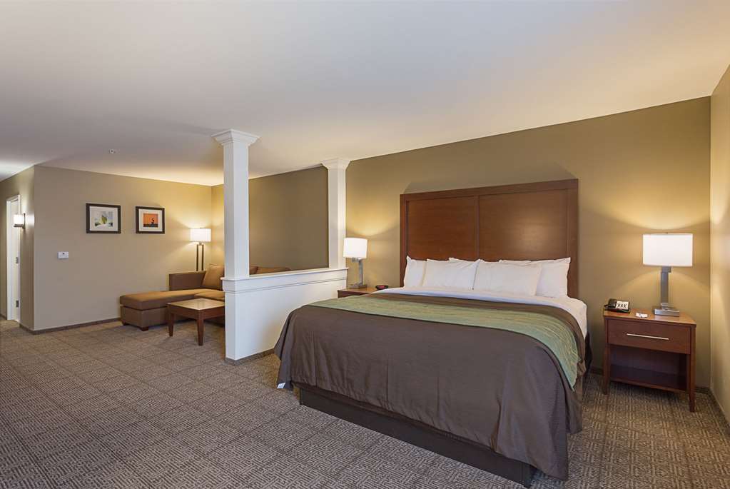 Comfort Inn & Suites Zachary - photo 31