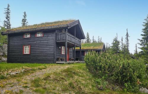 Amazing Home In Eggedal With Sauna — 4-Star Luxury Hotel in None, Norway