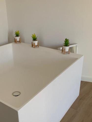 DimoDà in Termoli, Italy