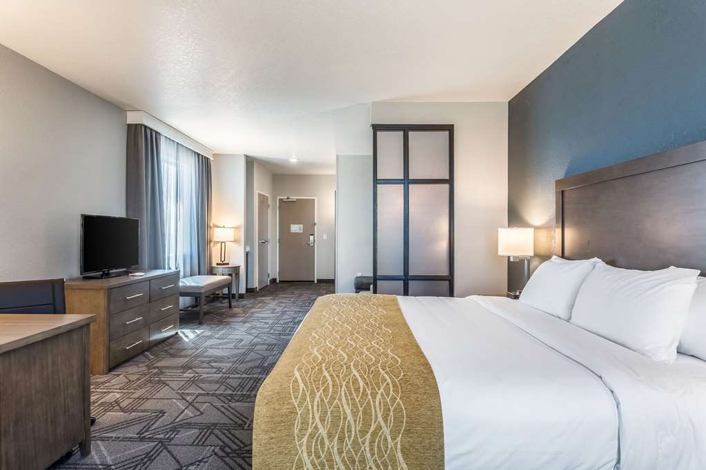 Comfort Inn & Suites Salt Lake City Airport - photo 47