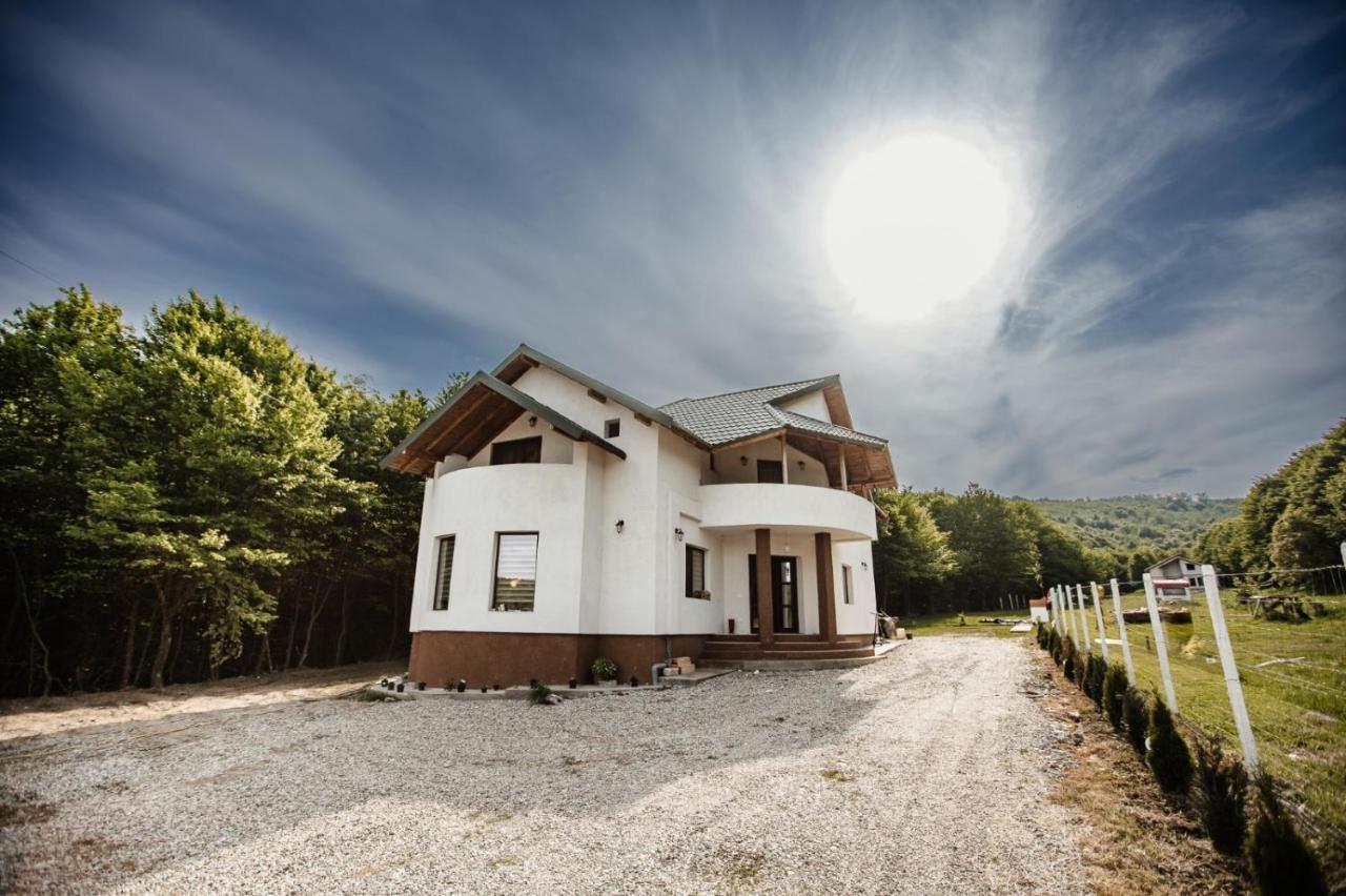 Pensiunea Alexandra — 4-Star Luxury Hotel in Micesti, Romania