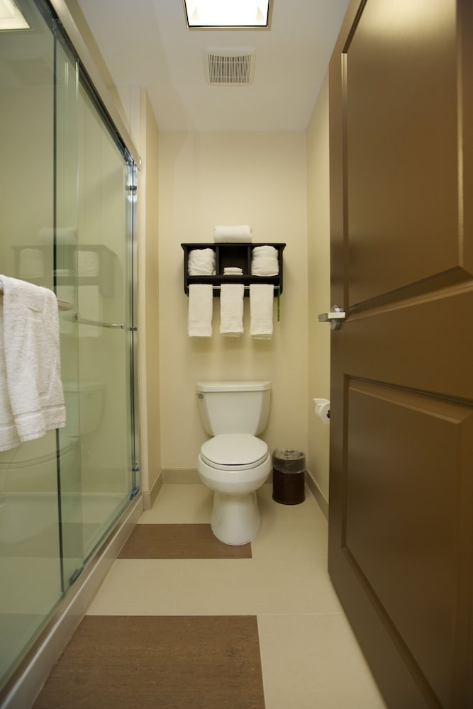Hampton Inn & Suites Missouri City TX - photo 26