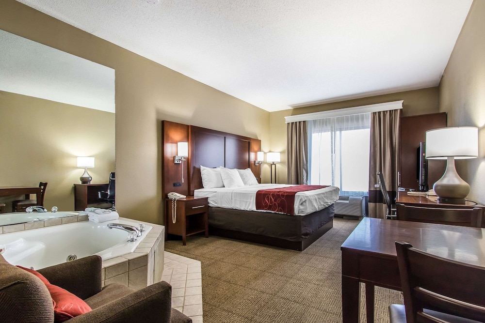 Comfort Suites Effingham Central - photo 18