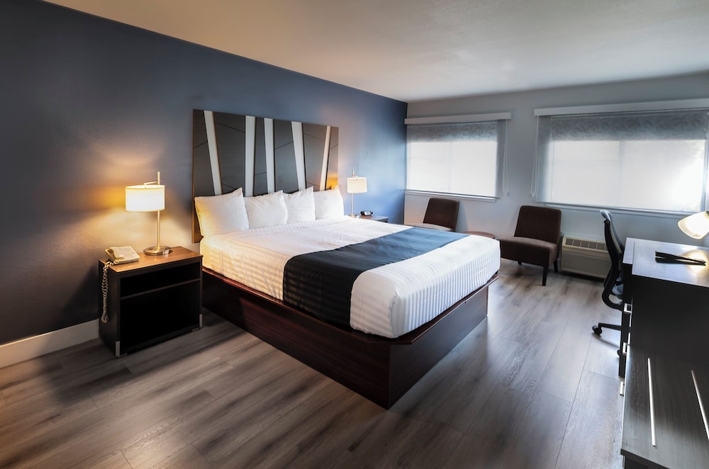 Hotel Mira Vista - photo 21