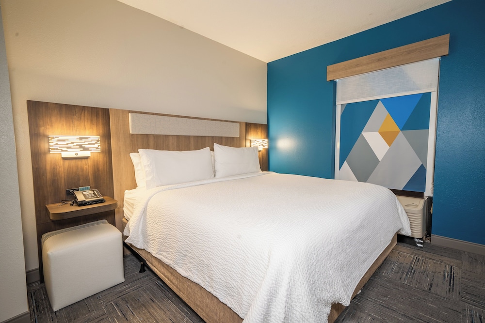 Holiday Inn Express Hotel & Suites Tampa Northwest Oldsmar by IHG - photo 16